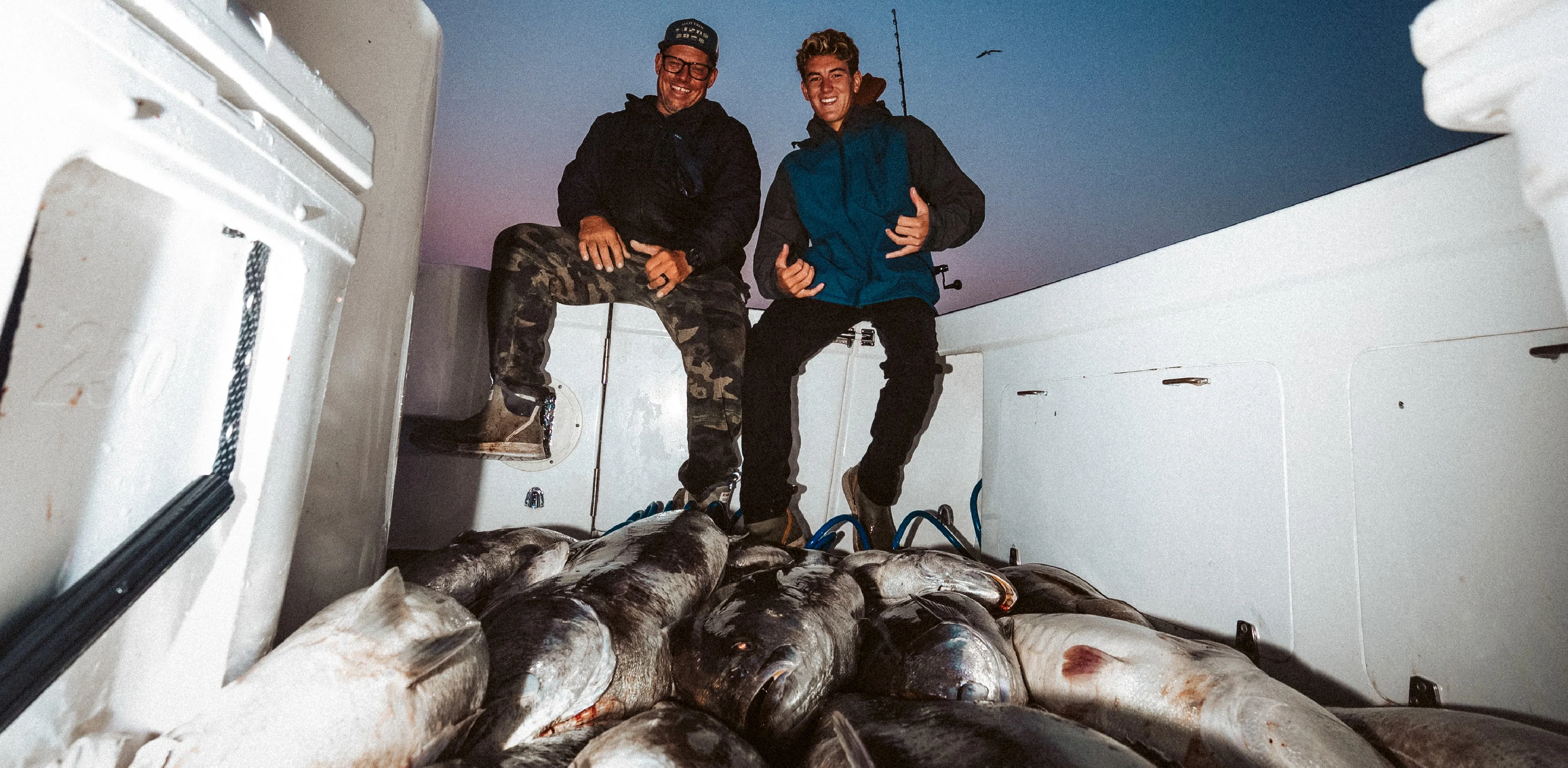 Chasing Tail, Finding Refuge